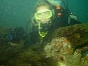 Sheringham Gullies